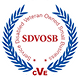 SDVOSB certification badge – Service-Disabled Veteran-Owned Small Business.